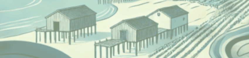 Expéditions & livraisons